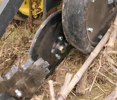 Needham AG Wheel